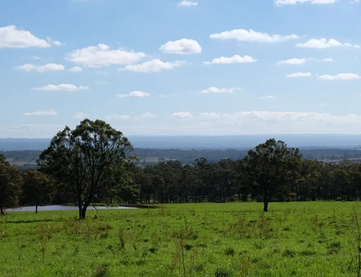 Wide view of green paddocks at Mount Gilead with scattered trees under a blue sky, overlooking the Campbelltown region in the distance.